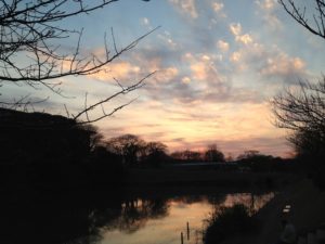 台風の馬鹿野郎