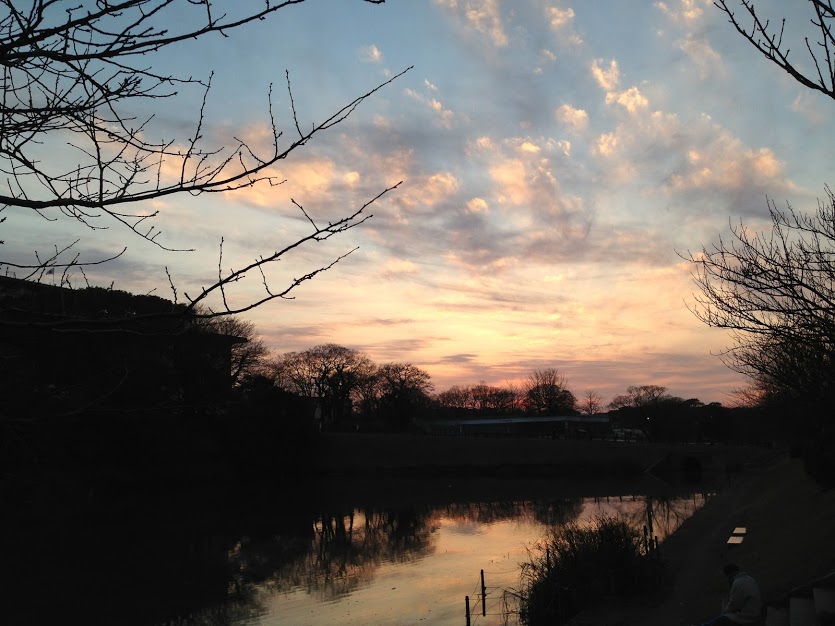 台風の馬鹿野郎