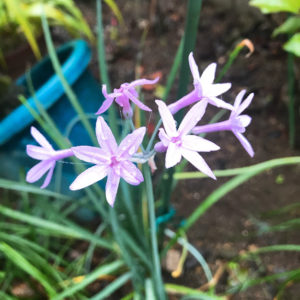 小さな自信をつけていくこと