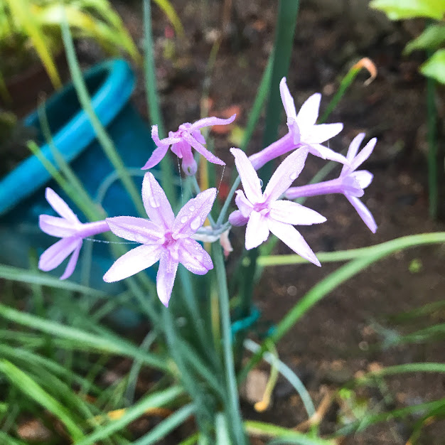 小さな自信をつけていくこと