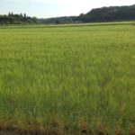 充実した一日へ