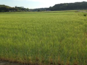 充実した一日へ