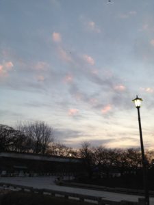 糖質制限始めました   ダイエット