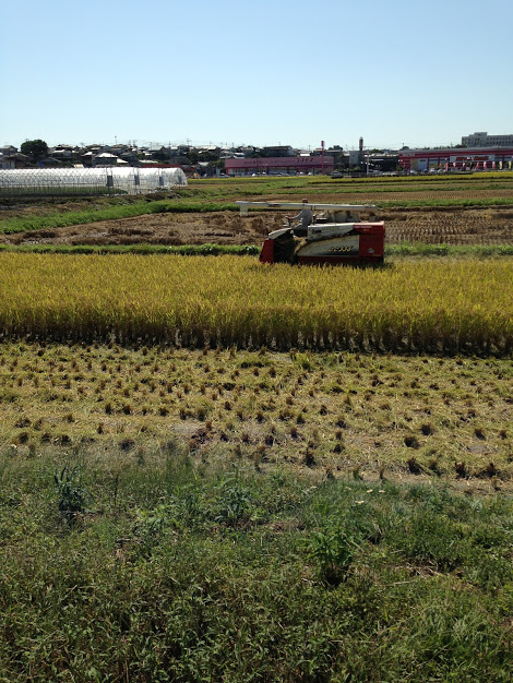 糖質制限の効果　ダイエット効果出たか？
