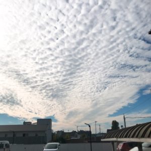 ゆったりとした一日