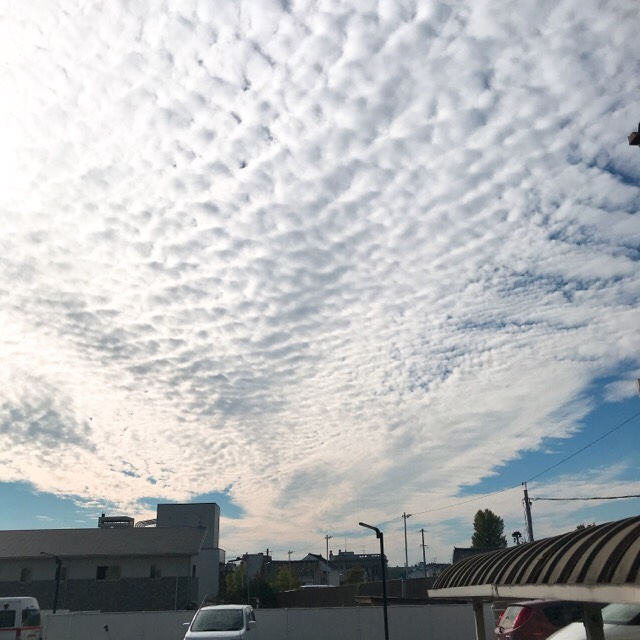 ゆったりとした一日