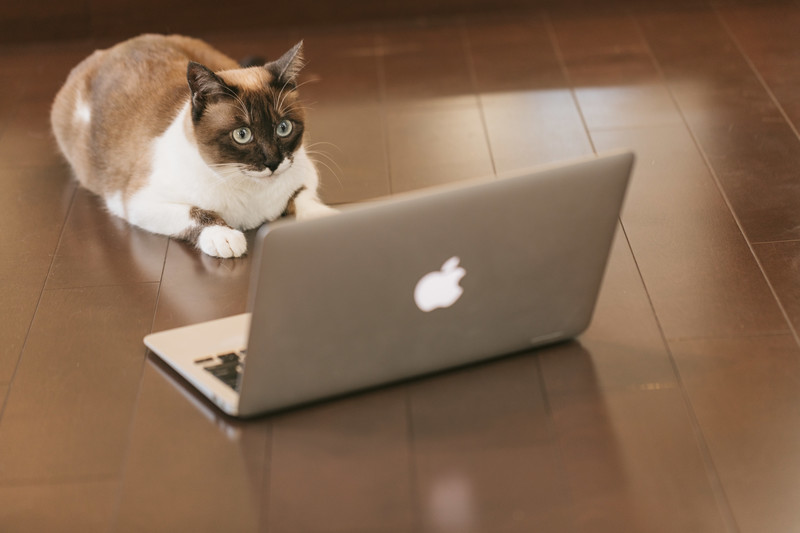 Sur le contrat de fin de travail et l'avenir de la freelance