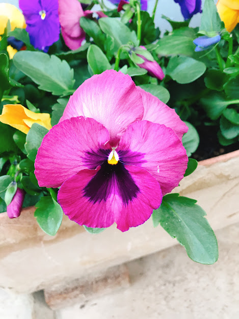 お久しぶりです