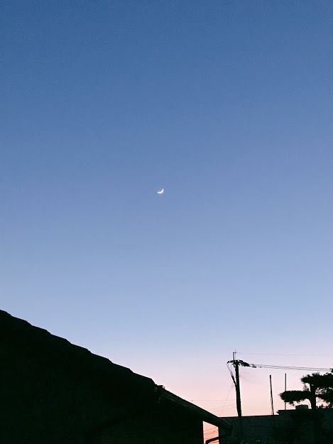 最近またウォーキングを再開しました　ダイエットのため