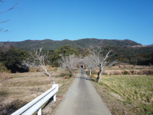 OSMO POCKETで撮影した写真