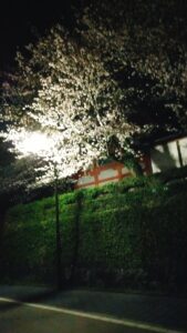 素直さの大切さについて