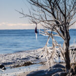 寒波襲来!? 稽古できるのか!?