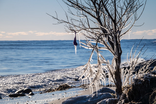 寒波襲来！？　稽古できるのか！？