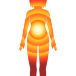 臍下丹田とか言うけれどよくわかってないので調べてみた